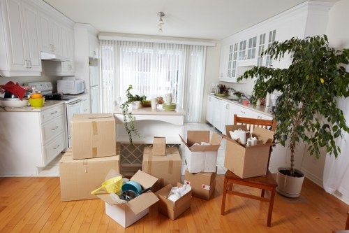 Professional man and van team assisting with a Goldersgreen relocation